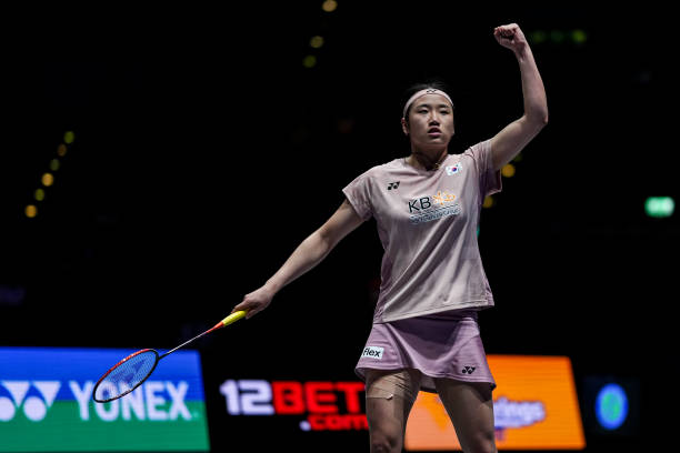 買專業羽毛球拍要花多少錢？2024年價格趨勢分析