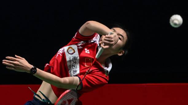 羽毛球拍NR8 vs NR10：哪款更適合你的打法？