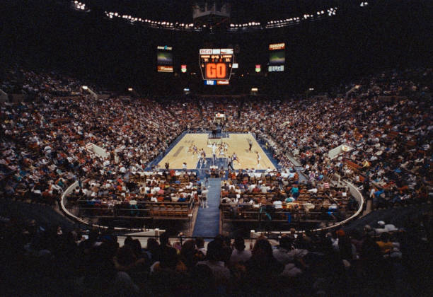 緩震+響應：小前鋒球員最關注的球鞋科技解析