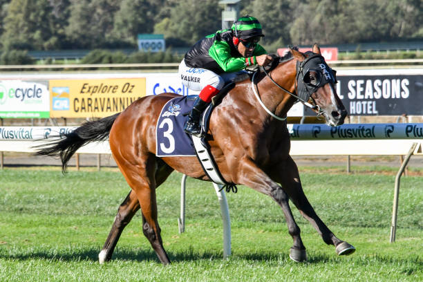 倫納德封神之戰：回顧猛龍隊首個總冠軍賽季