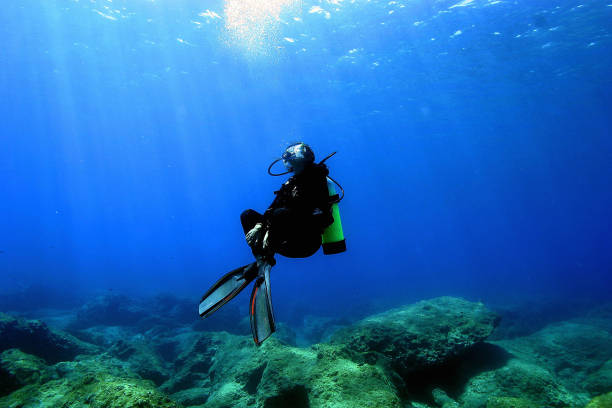 劉德華分享對郭晶晶的敬佩：體育精神與人生智慧