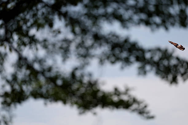 吳敏霞老公分享美食日常，三斤小龍蝦輕鬆搞定！