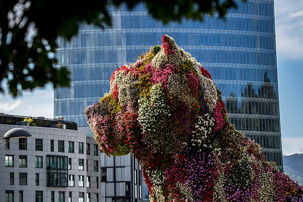 世界田聯對長跑項目的官方距離規定解析