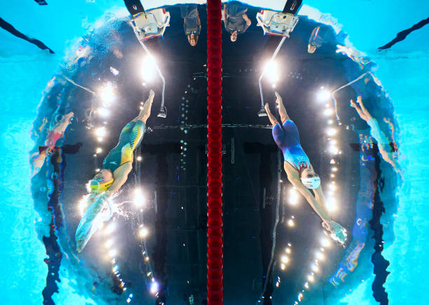 遊泳教練證查詢：權威網站及操作流程