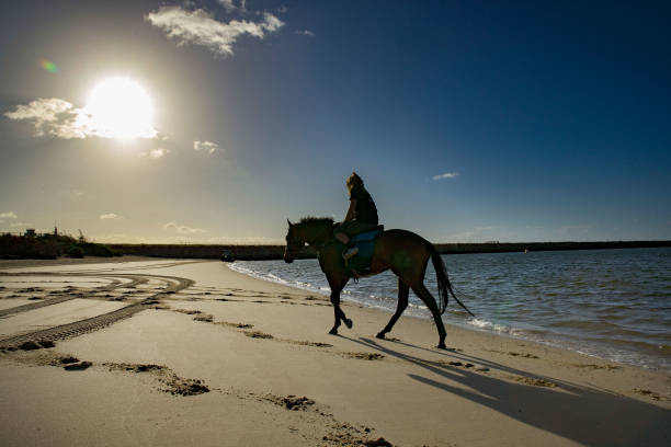 遊泳的適宜人群與禁忌症:誰適合遊泳?誰需謹慎?