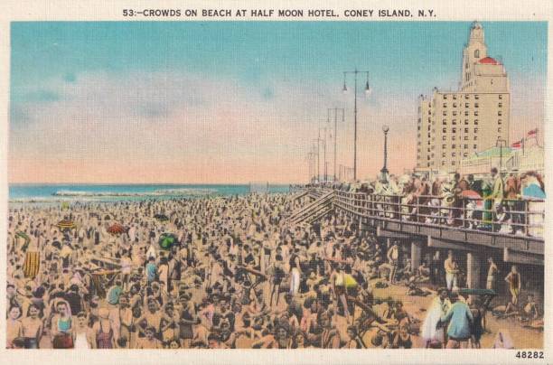 從泳池到熒幕：陳小紜的跨界人生