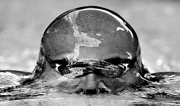 一年遊泳，糖尿病患者的驚人蛻變：血糖穩定了，體重下降了！