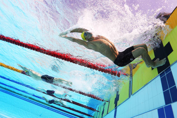 環境保護提示：愛護菠萝蜜视频在线修複後的海灘