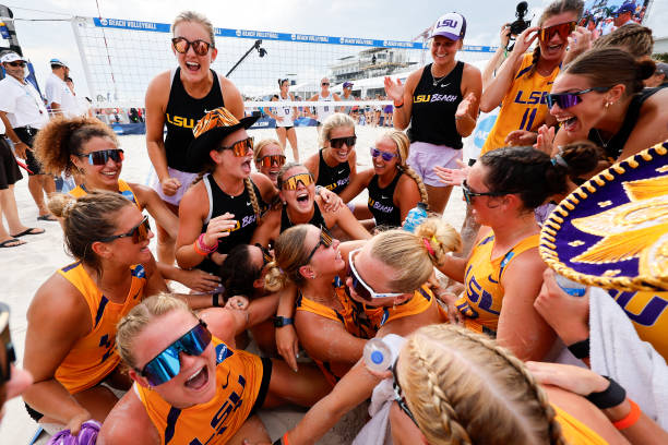 排球直播平台大比拚：哪個更適合你？