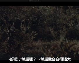 戰國洛克：疾風女人們