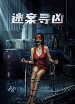 迷案尋凶電影版