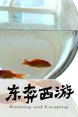 11度青春之《東奔西遊》