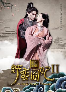 野蠻囧妃2：迷霧重重