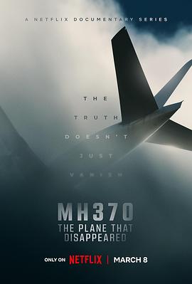MH370：消失的航班