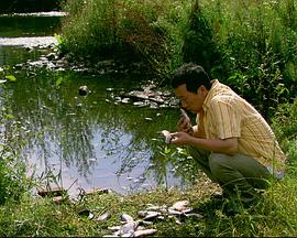 來福，來福