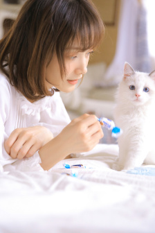 《女军医》满天星