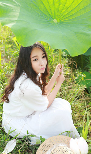 神雕侠侣 电视剧