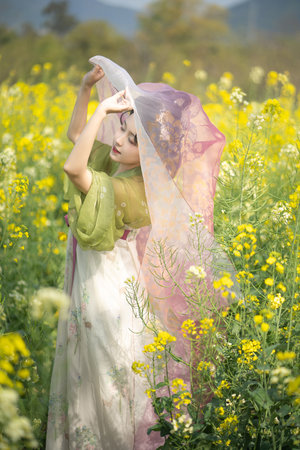 每日更新无码专区在线