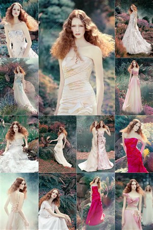 金瓶莲1-5在线观看