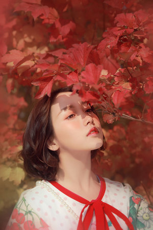 心居电视剧全集剧情介绍