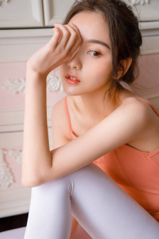 雪鹰领主动漫在线播放